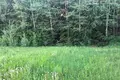 Дом 94 м² Клинокский сельский Совет, Беларусь