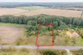 Parcelas 3 003 m² Boduszewo, Polonia