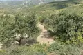 Land 1 room  Municipality of Archane - Asterousia, Greece