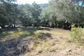 Земельные участки 1 комната  Municipality of Central Corfu and Diapontia Islands, Греция