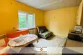 House 69 m² Sluck, Belarus