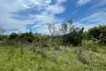 Działki 1 pokój 100 000 m² Kontokali, Grecja
