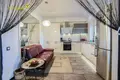 4 room apartment 271 m² Sonyechny, Belarus