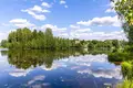 Коммерческое помещение 9 000 м² Токсовское городское поселение, Россия