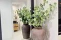 2 bedroom apartment  San Pedro Alcantara, Spain