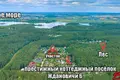 Land  Zdanovicy, Belarus