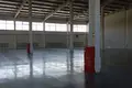 Lager 4 500 m² Staraja Kupawna, Russland