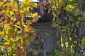Дом 55 м² Воложинский сельский Совет, Беларусь