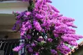 Hotel 400 m² Grad Trogir, Chorwacja