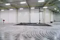 Tienda 350 m² en Sady, Polonia
