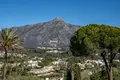 4-Schlafzimmer-Villa 415 m² San Pedro Alcantara, Spanien