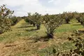 Działki 73 000 m² Opcina Koncanica, Chorwacja