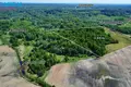 Land  Avietyne, Lithuania