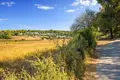 Atterrir 30 000 m² Kassandrino, Grèce