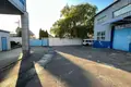 Gewerbefläche 2 244 m² Nowa Dofiniwka, Ukraine