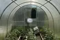 House 50 m² Bagrationovsk, Russia