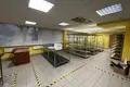 Commercial property 9 rooms 223 m² in Riga, Latvia