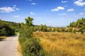 Atterrir 30 000 m² Kassandrino, Grèce