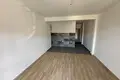 Mieszkanie 1 pokój 43 m² Sasovici, Czarnogóra