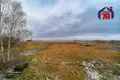 Haus 54 m² Krupicki sielski Saviet, Belarus