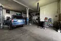 Tienda 750 m² en Grodzisk Wielkopolski, Polonia
