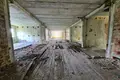 Commercial property 2 491 m² in Pleshchanitsy, Belarus