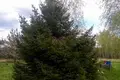 House 49 m² Dziescanski sielski Saviet, Belarus
