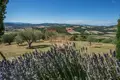 Commercial property 650 m² in Siena, Italy