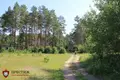 Commercial real estate 6 356 m² in Pukhavichy District, Belarus