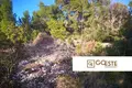 Parcelas  Opcina Dezanovac, Croacia