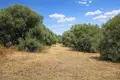Land 5 300 m² Kassandrino, Greece
