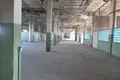 Manufacture 22 306 m² in Orsha, Belarus