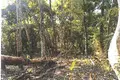 Land  Jarabacoa, Dominican Republic