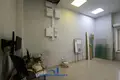 Propiedad comercial 353 m² en Minsk, Belarús