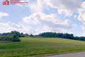 Dom 42 m² Sapockinski sielski Saviet, Białoruś