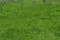 Land  Saguramo, Georgia