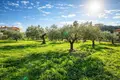 Atterrir 2 800 m² Kassandrino, Grèce