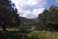 Grundstück  Provinz Kissamos, Griechenland