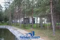 Commercial property 4 533 m² in Minsk, Belarus
