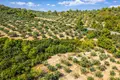 Parcelas 13 365 m² Neos Marmaras, Grecia
