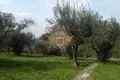 4 bedroom Villa 300 m² Rome, Italy