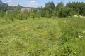 Land  Putcynski sielski Saviet, Belarus