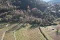 Земельные участки  Цетинье, Черногория