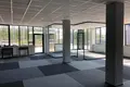 Commercial property 305 m² in Stara Iwiczna, Poland
