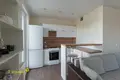 Apartment 31 m² Fanipal, Belarus