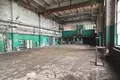 Производство 879 м² в Заречье, Беларусь