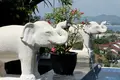 Villa 4 chambres 960 m² Ban Bang Thao, Thaïlande
