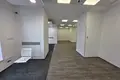Apartment 351 m² in Lodz, Poland
