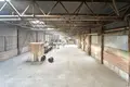 Склад 10 комнат 290 м² в Радошковичском сельском Совете, Беларусь