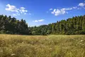 Land 4 500 m² Kassandrino, Greece